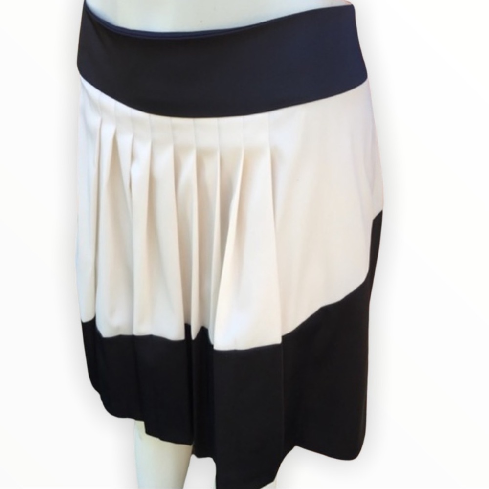 Ann Taylor ink blue and ivory pleated skirt - Picture 1 of 4